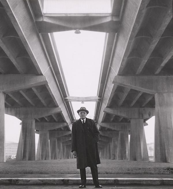Pier Luigi Nervi - Beauty of Ribs